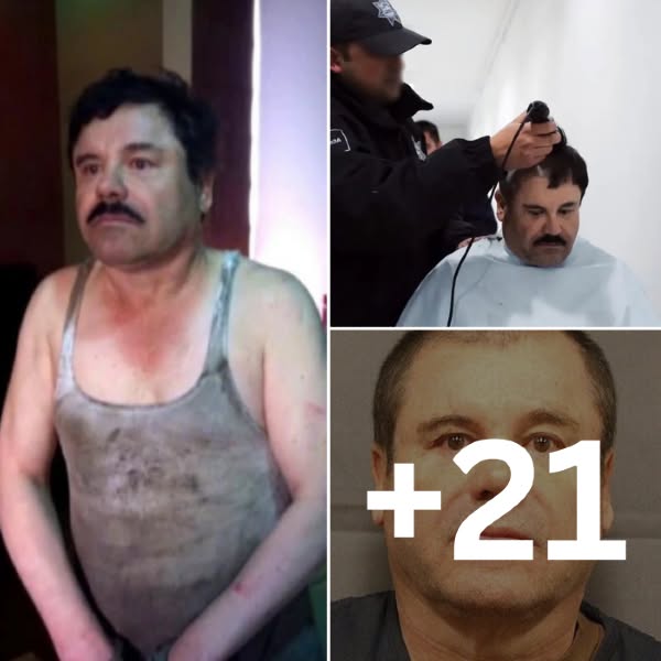 Después de que sus atroces crímenes salieran a la luz, El Chapo ahora sufre en prisión. Conocido por explotar a las mujeres, matar a los empleados por llegar tarde e incluso enterrar vivo a un hombre, ahora se derrumba en el aislamiento y "no...